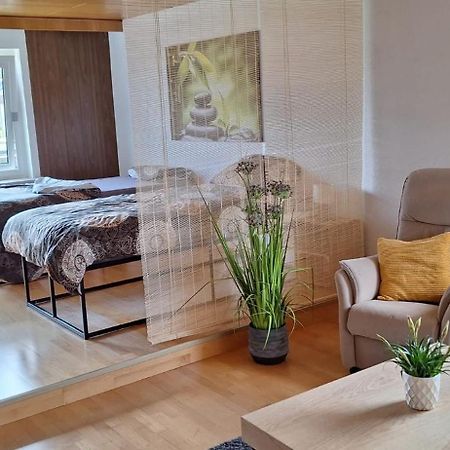 Haus Gartenblick Рюссельсгайм Екстер'єр фото
